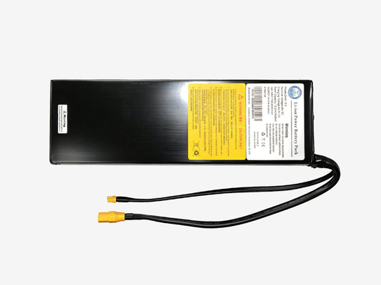 T10 Battery